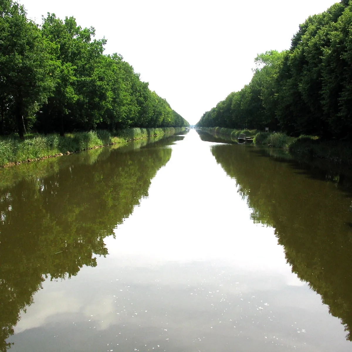 Groningen Quiet Canals Walk: Discover Serene Waterways