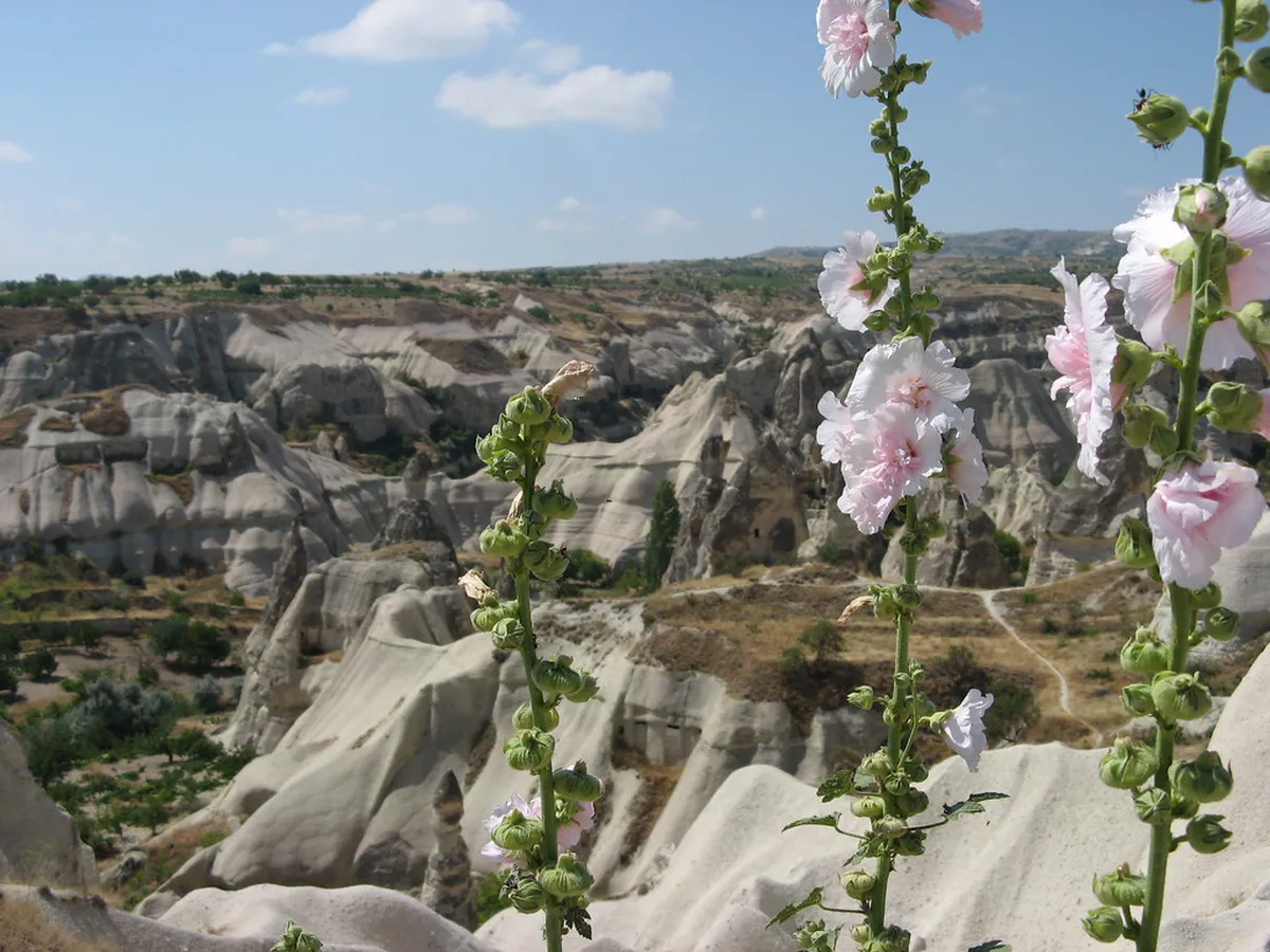 Discover Top Göreme Boutique Cave Hotels for 2025