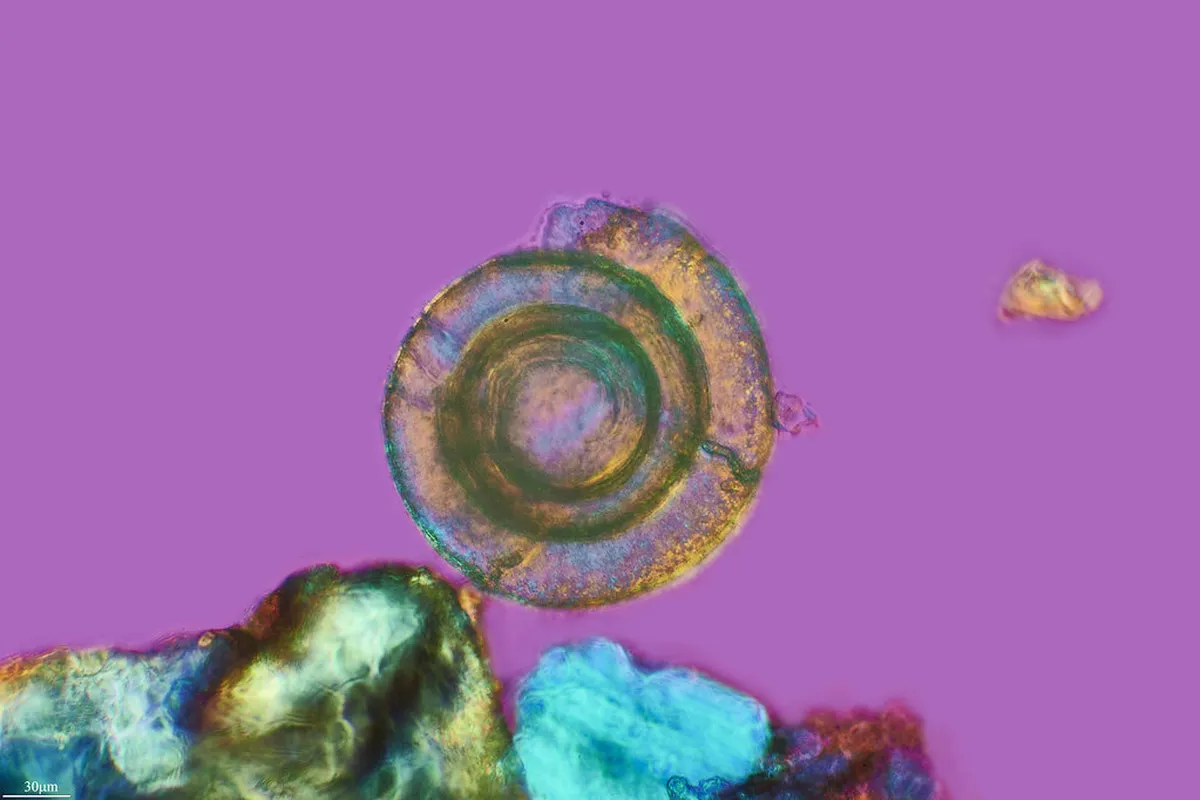 Discover Hidden Almería Hiking Trails for 2025