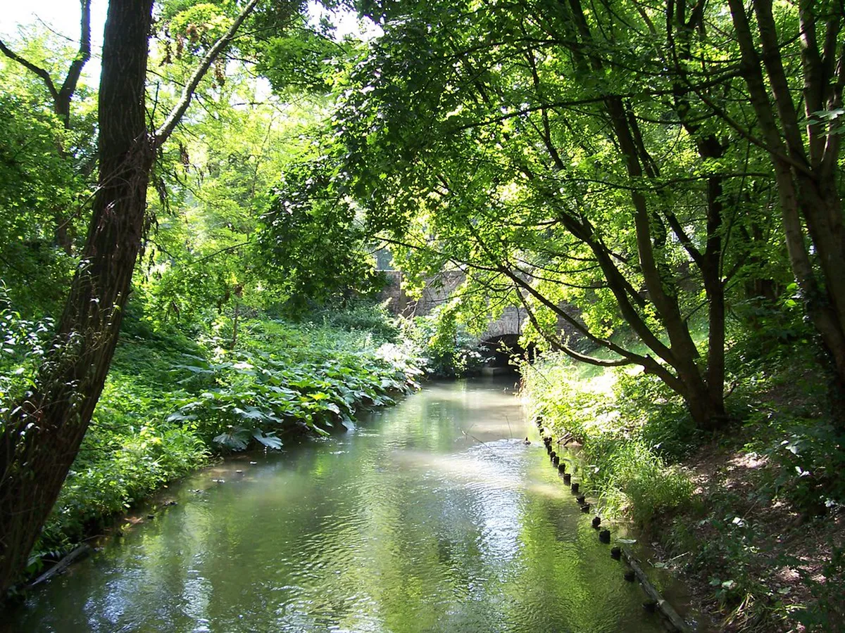 Discover Hidden Augsburg Viewpoints for 2025