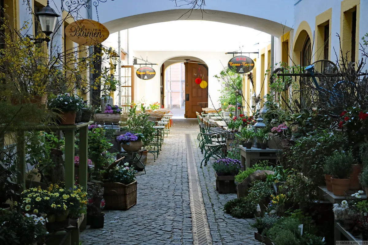 Hidden Dresden Viewpoints: Best Secret City Views 2025