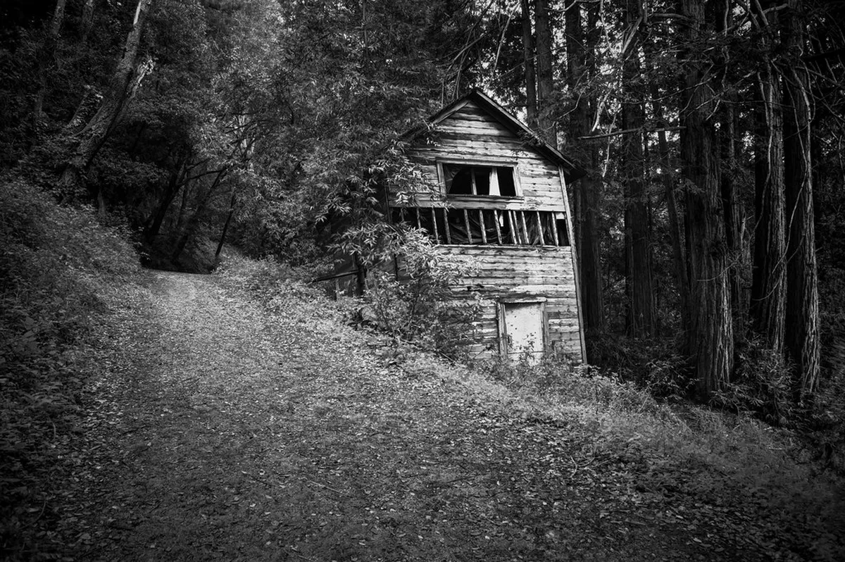 Discover Hidden Hiking Trails in Santa Cruz de la Palma