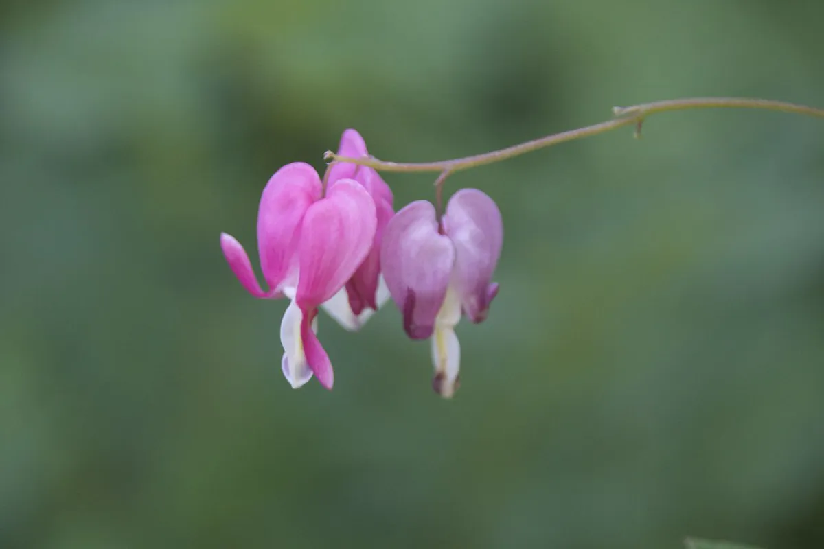 Discover Bordeaux's Hidden Historical Sites in 2025