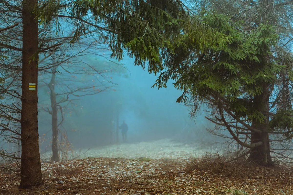 Discover Hidden Koper Cafes: Your 2025 Guide