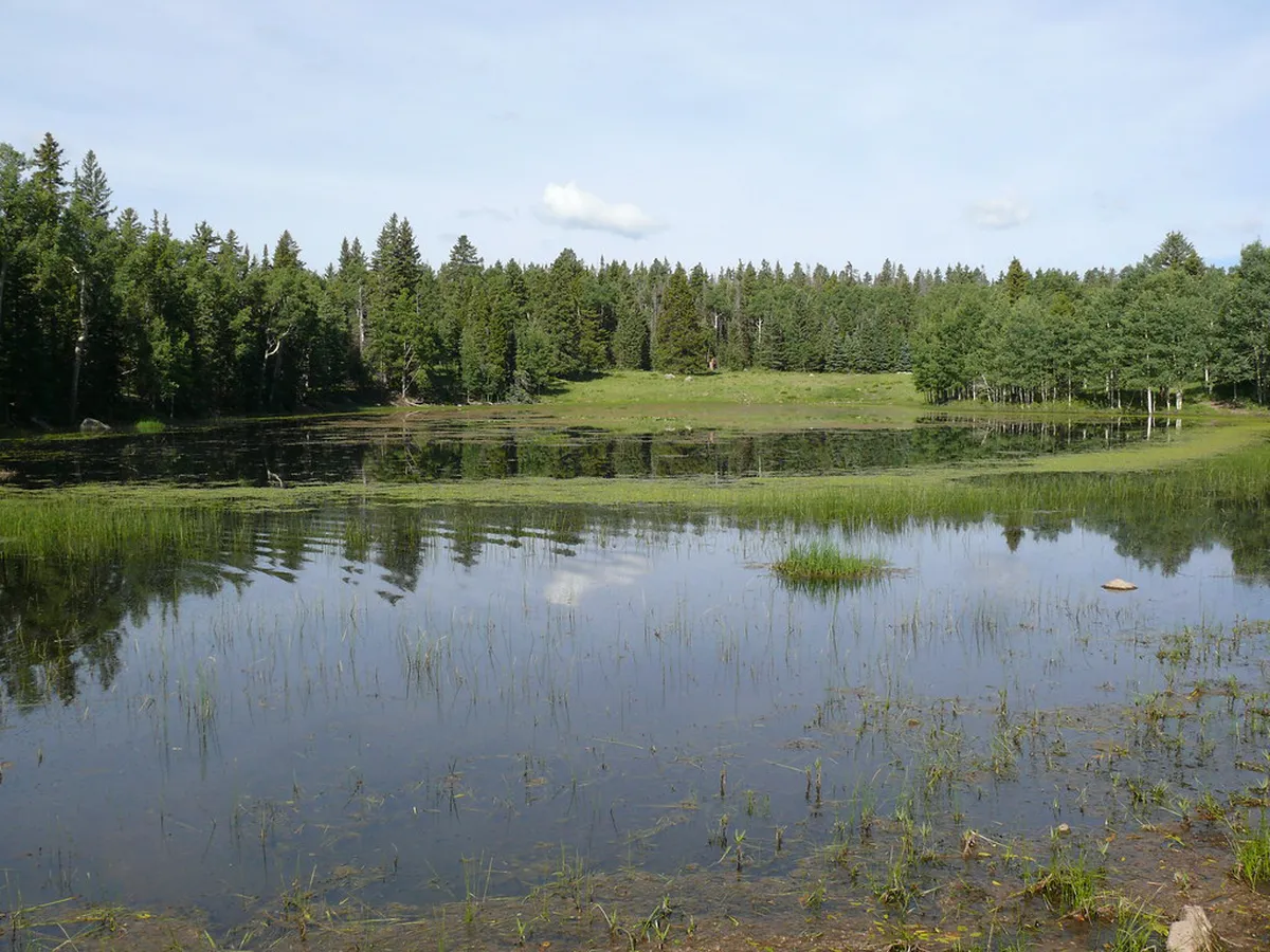 Discover Hidden Lakes Garmisch-Partenkirchen in 2025