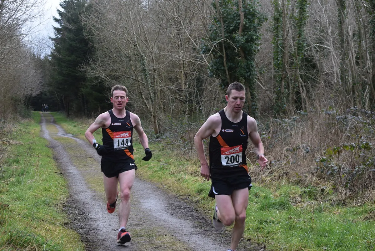 Hidden Parks Galway City: Your 2025 Guide to Green Escapes