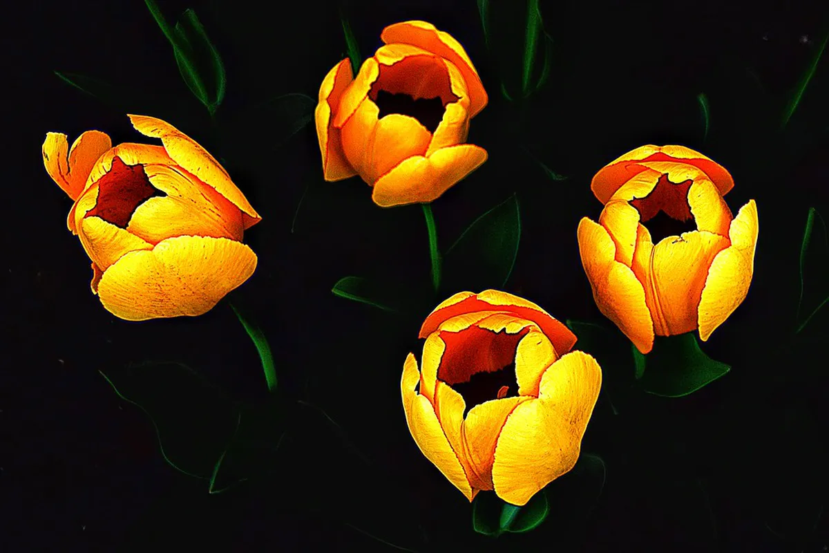 Discover Hidden Street Art Thessaloniki in 2025: A Local's Guide