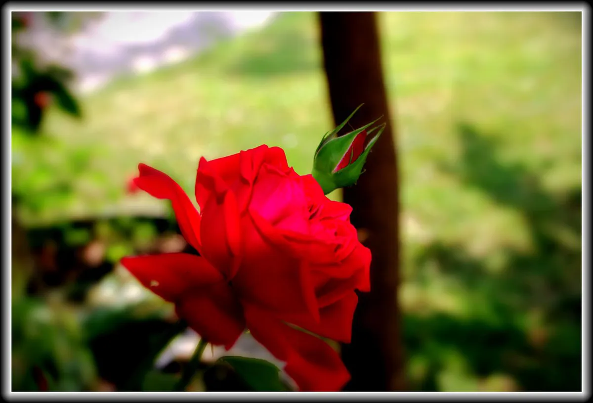 Hidden Street Art Utrecht: Your Guide to Urban Murals 2025