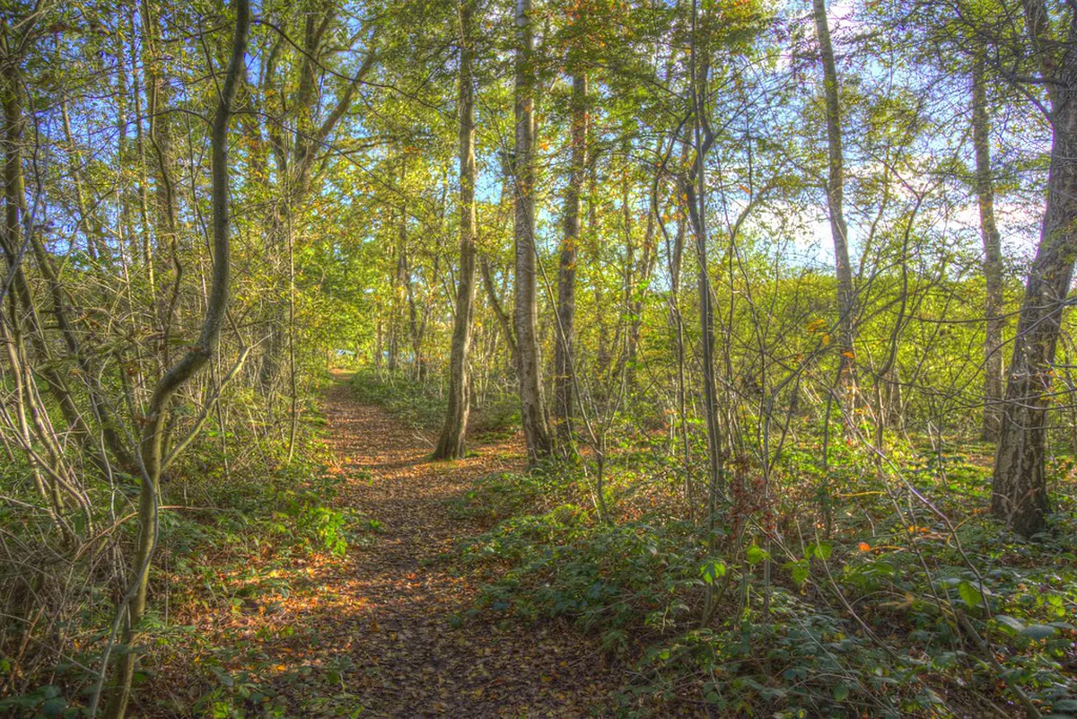 Discover Hidden Trails Hora Naxos: Your 2025 Guide