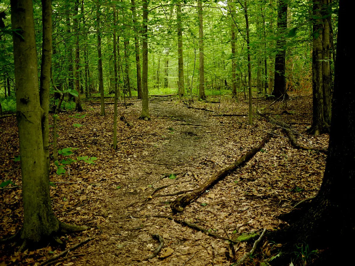 Discover Hidden Trails Stirling: Your 2025 Guide