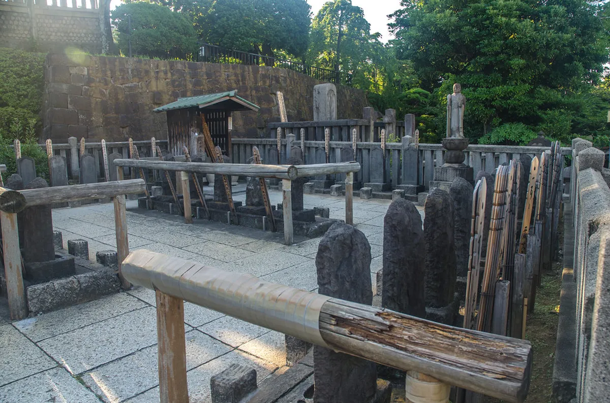 Uncover Hidden Viewpoints Split: Your 2025 Guide