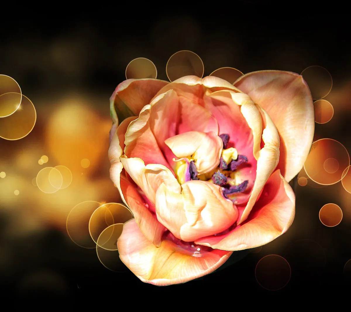 Discover Potsdam's Hidden Walking Tours for 2025