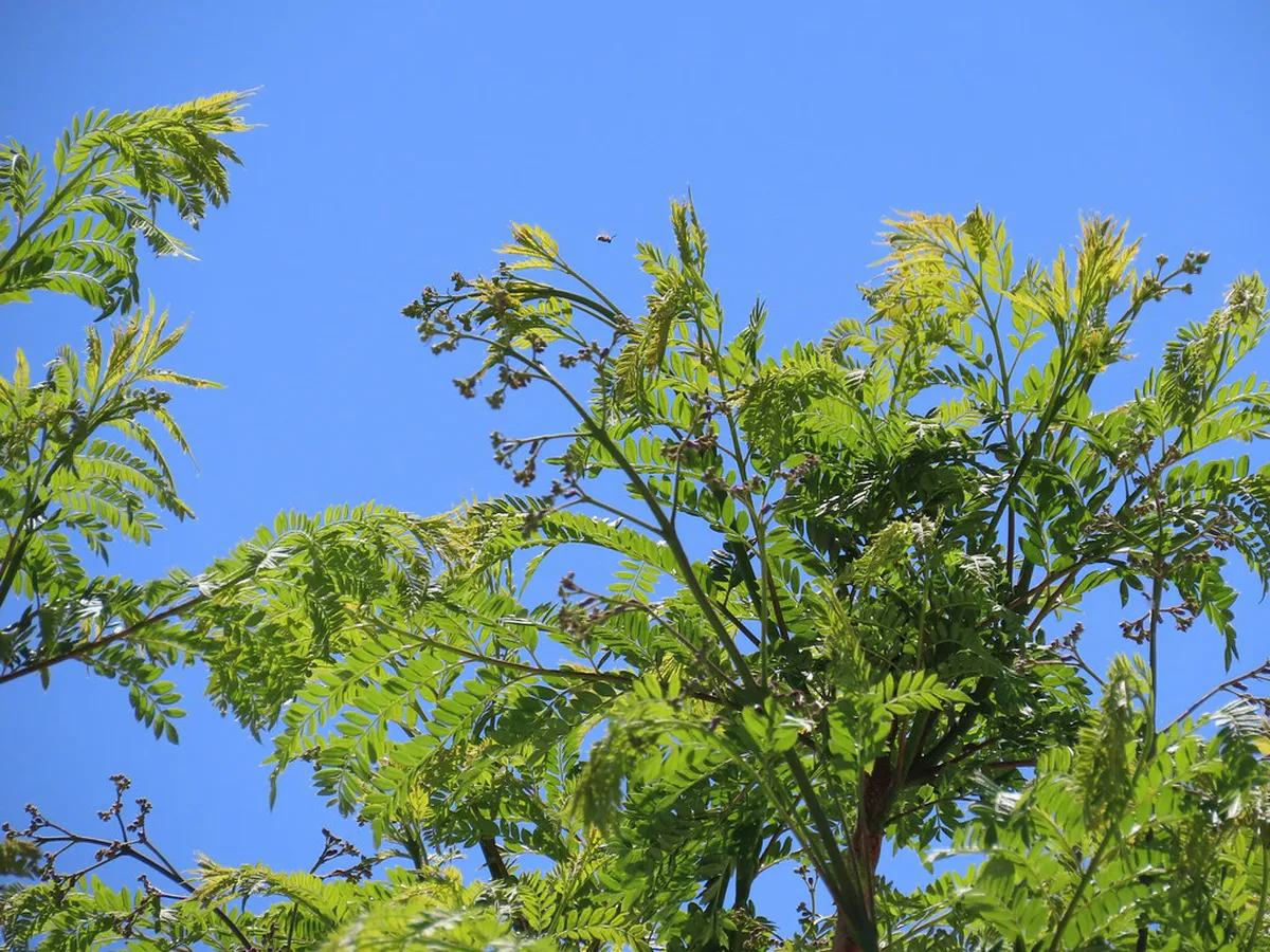 How to Find Alicante Hidden Gems in 2025: Your Guide