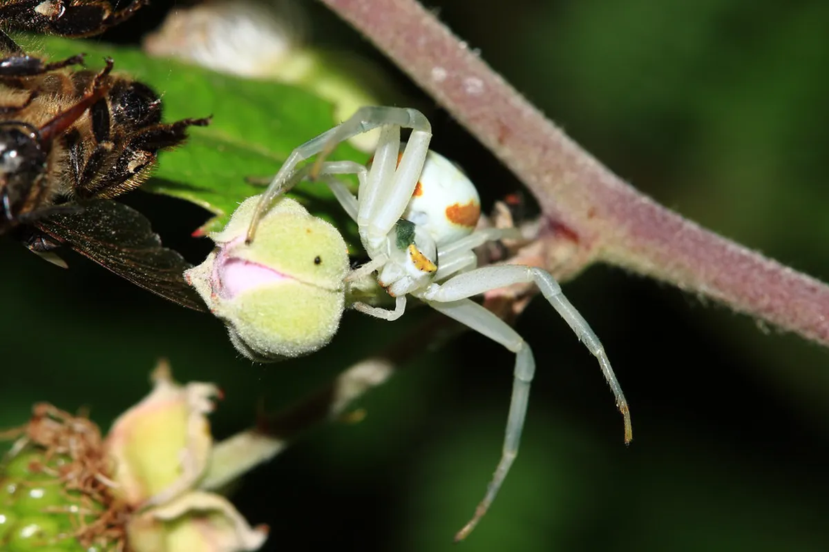 Discover Blois Hidden Spots: Your 2025 Local Guide