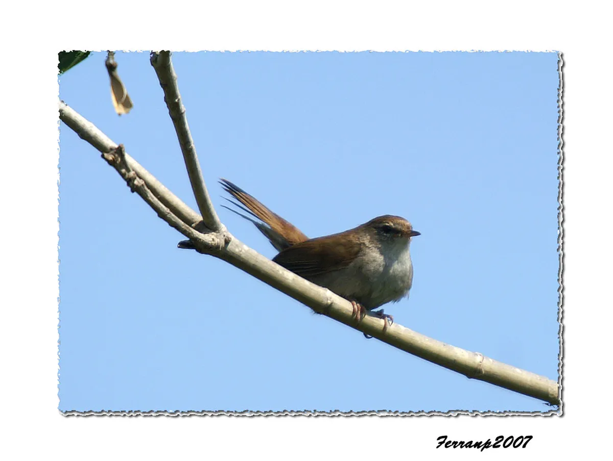 How to Find Oia Trails: Your 2025 Hiking Guide