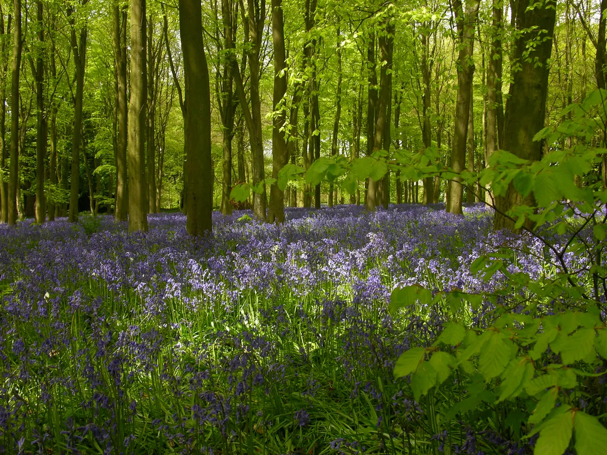 Hydra Town Secret Photo Spots: Hidden Gems for 2025