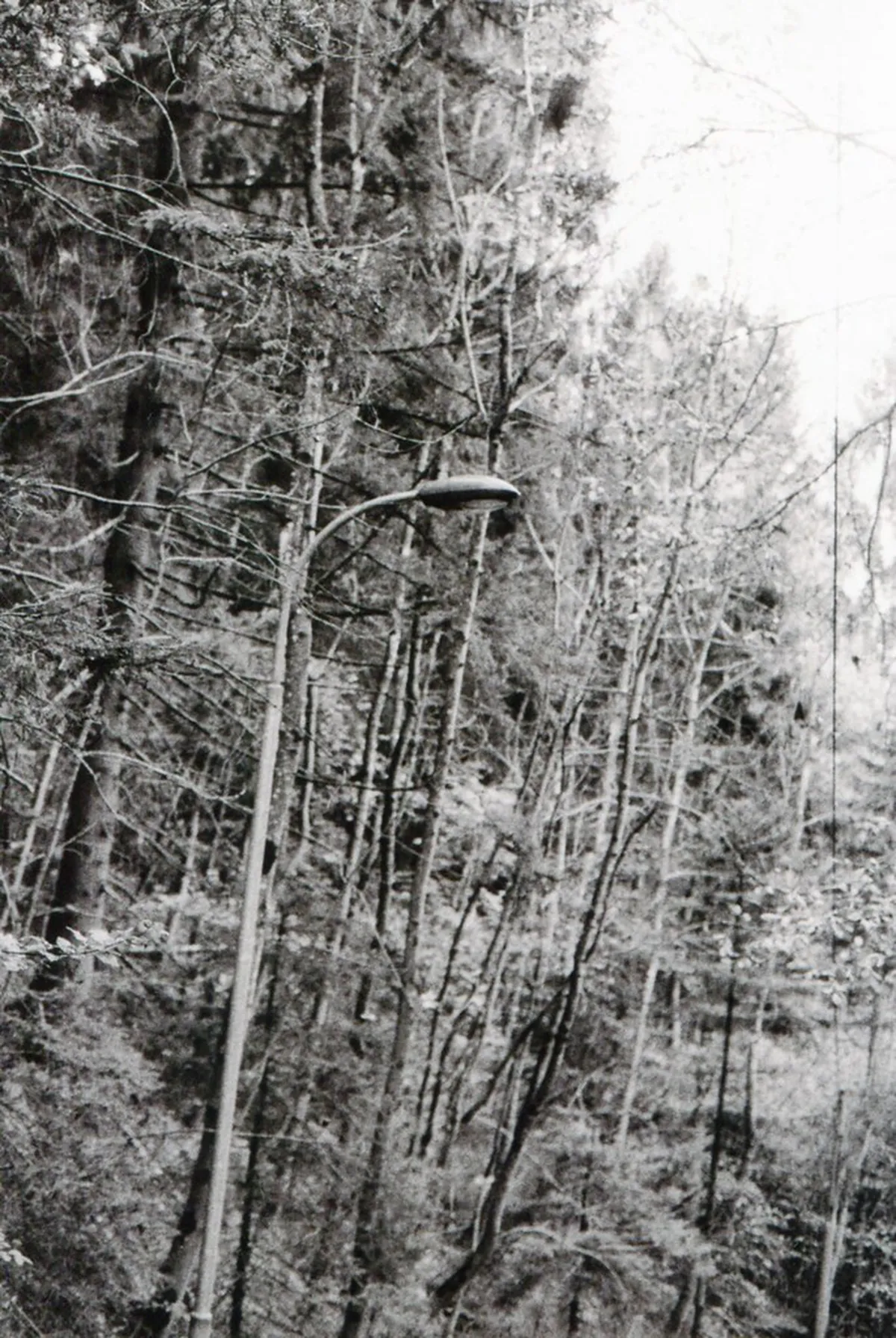 Innsbruck Hidden Gems: Uncovering Secret Spots for 2025