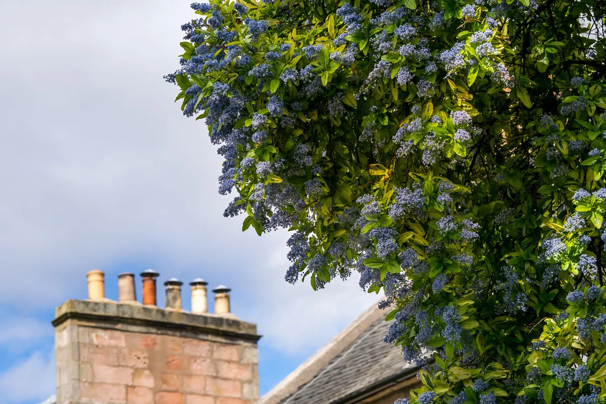 Discover Inverness Local Artisan Shops: 2025 Guide