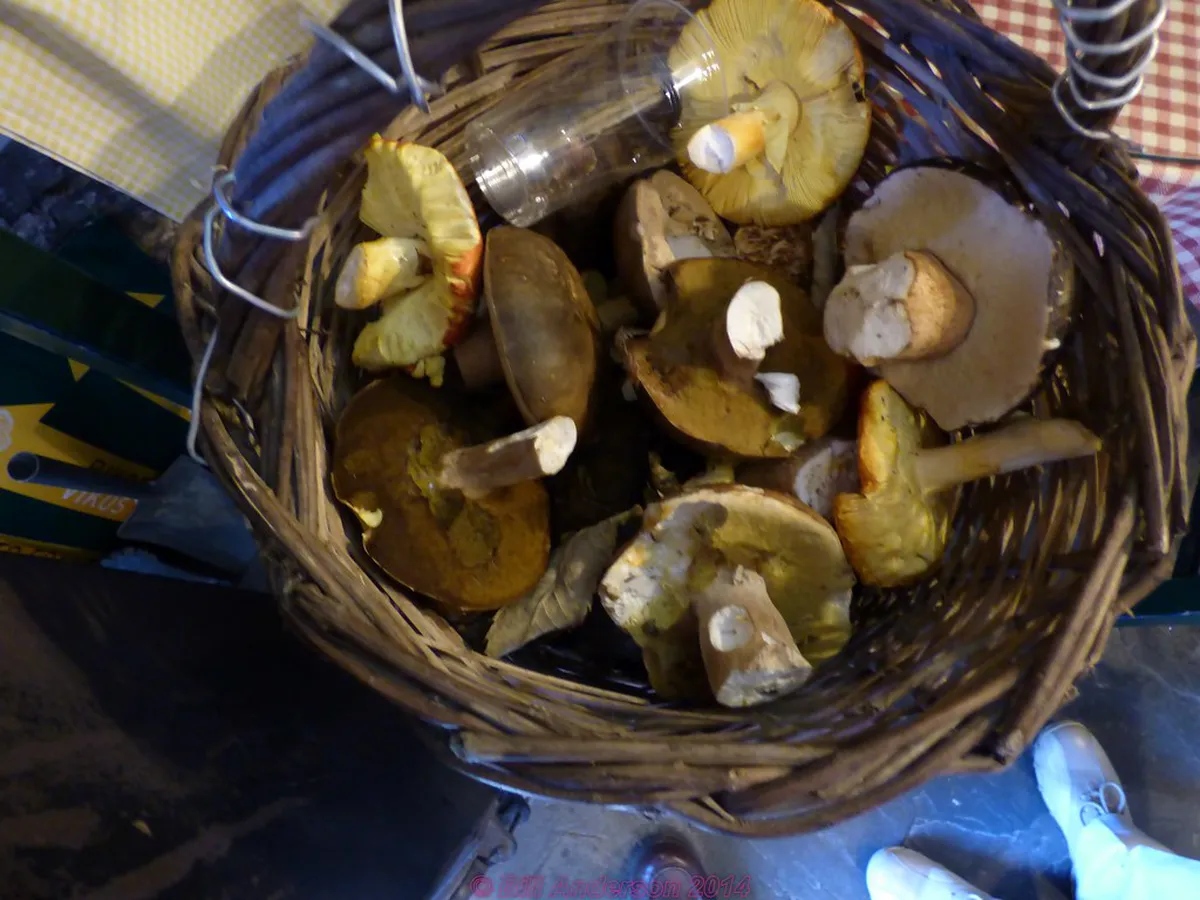 Discover Ioannina Local Village Trips: Your 2025 Guide