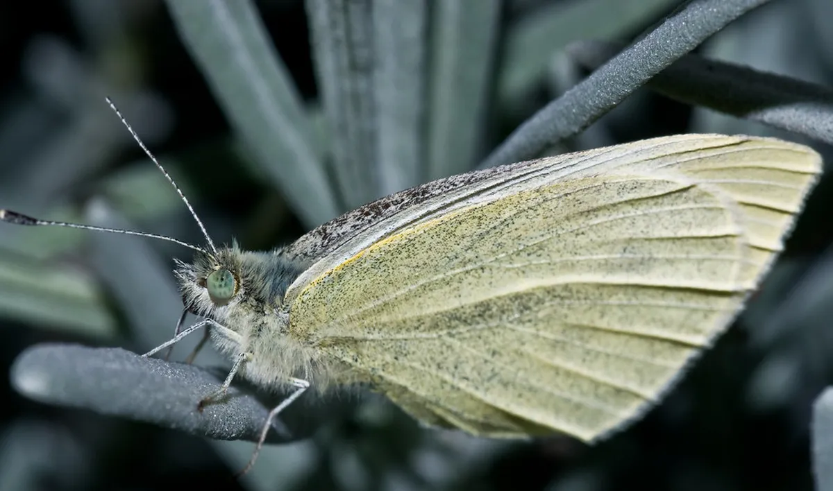 Uncover Iraklio's Hidden Gems: A 2025 Definitive Guide