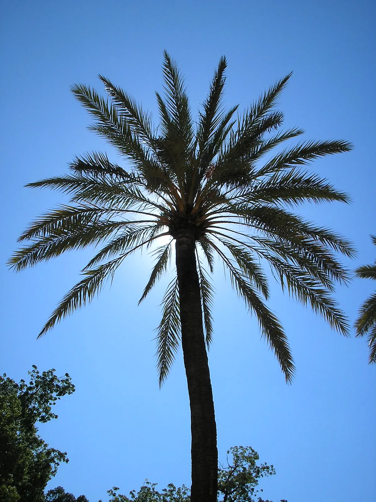 Jerez de la Frontera's Hidden Gems: A 2025 Travel Guide