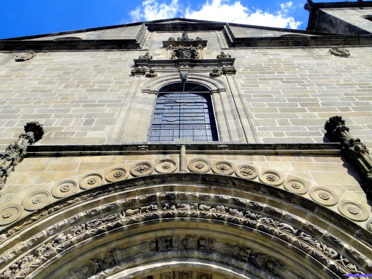 Jerez Local Market Tips: Your 2025 Guide to Fresh Finds