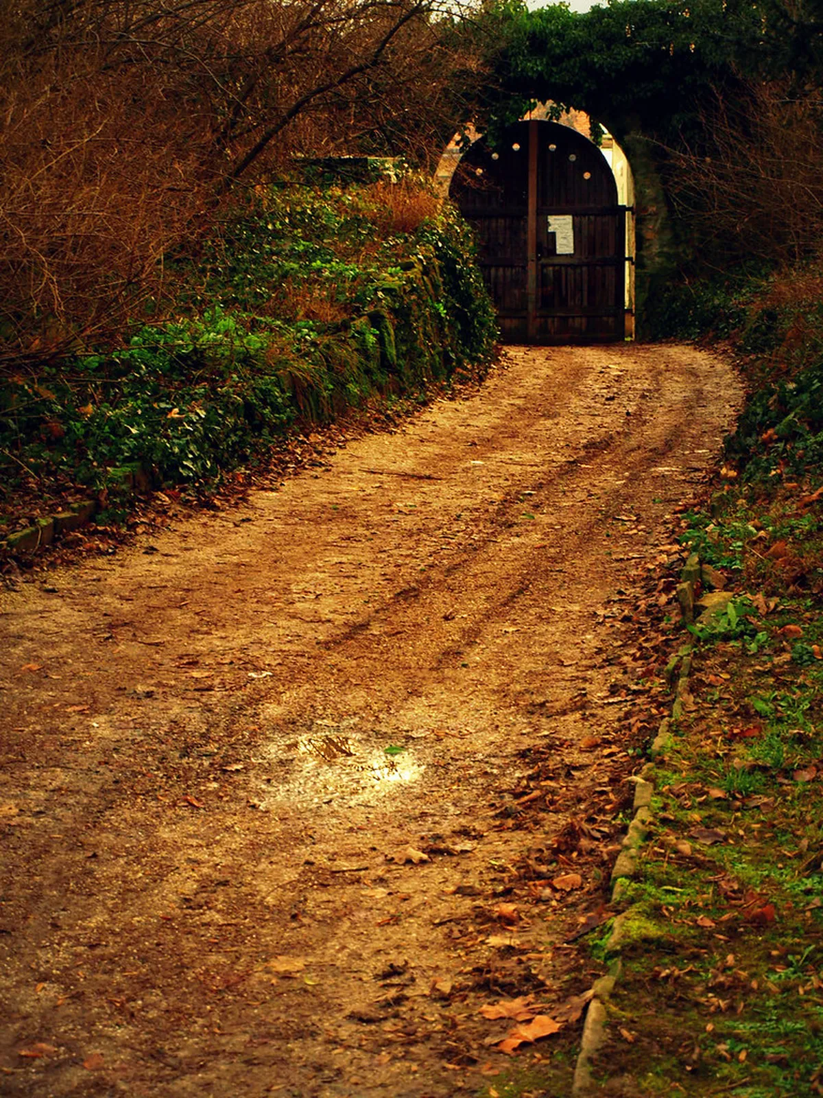 Discover Keszthely Secret Viewpoints in 2025