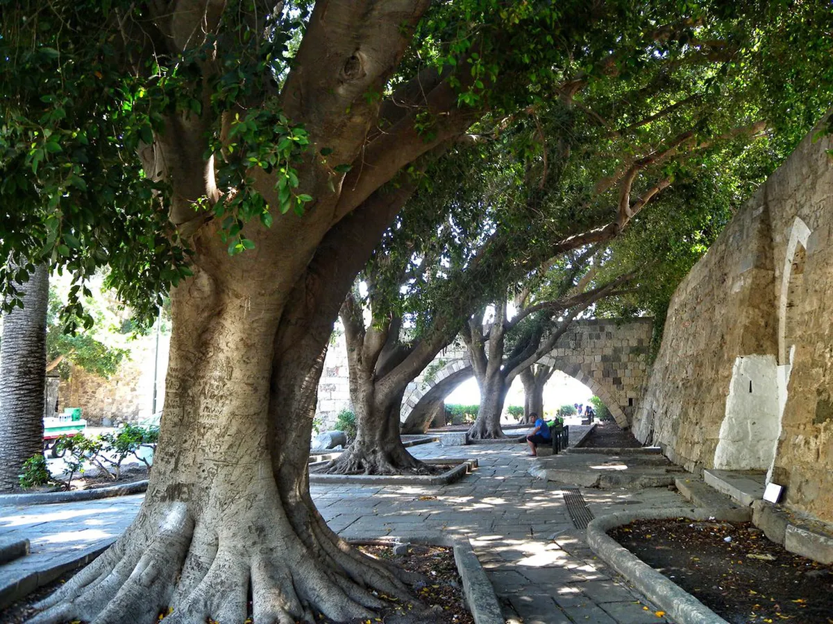 Discover Authentic Kos Town Local Tavernas in 2025