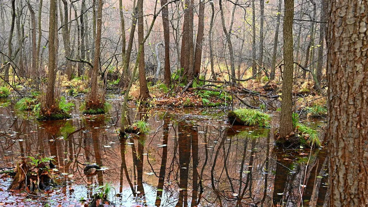 Košice Hidden Gems: Uncovering the City's Secret Side