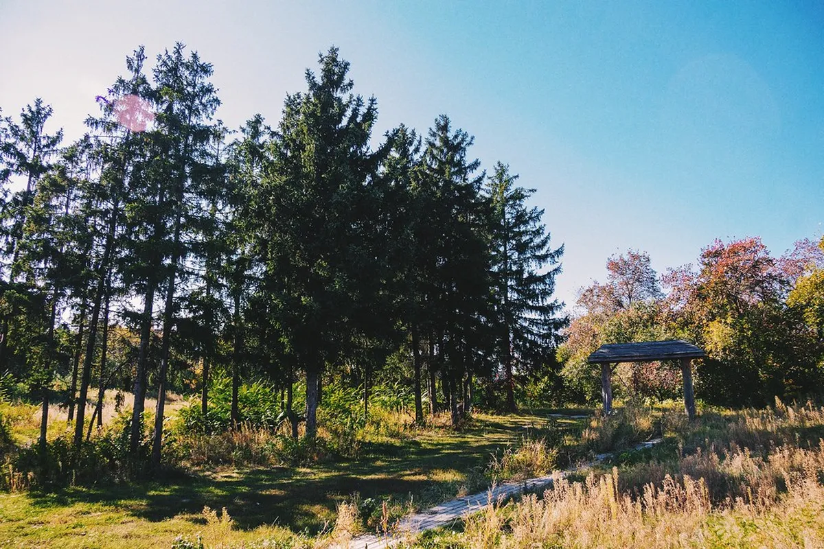 Kyiv's Secret Gardens: A Tranquil 2025 Visit Guide