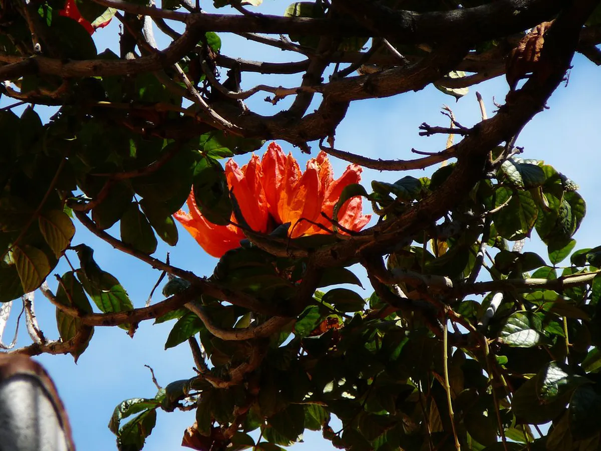 Your Ultimate Las Palmas Hidden Gem Map 2025 Guide