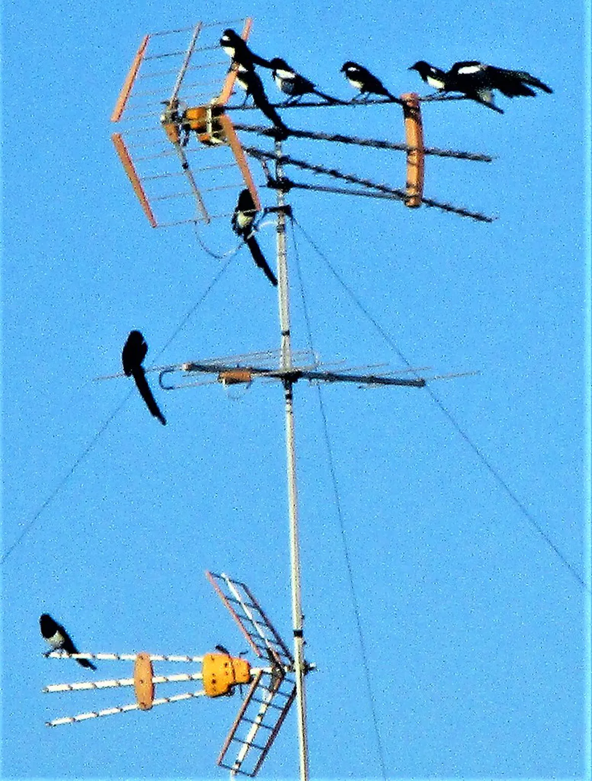 Discover Lecce's Secret Courtyards in 2025