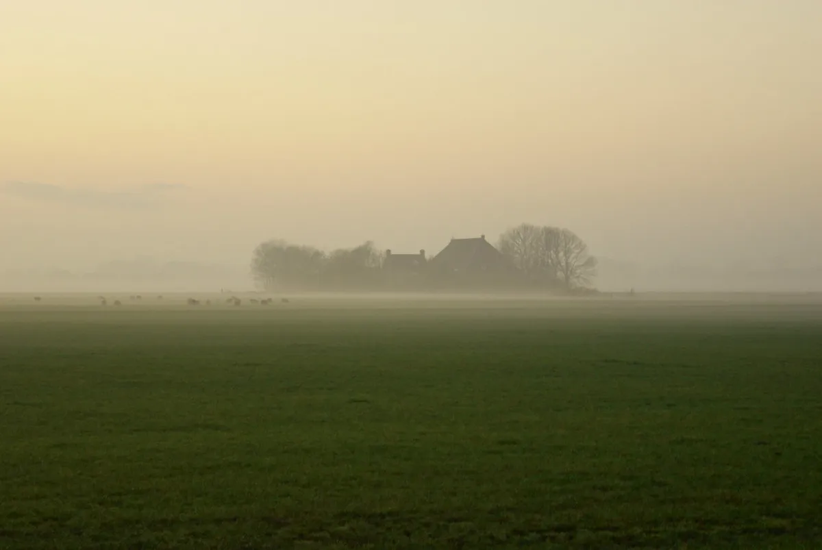 Discover Leeuwarden's Hidden Cafes: Your 2025 Guide