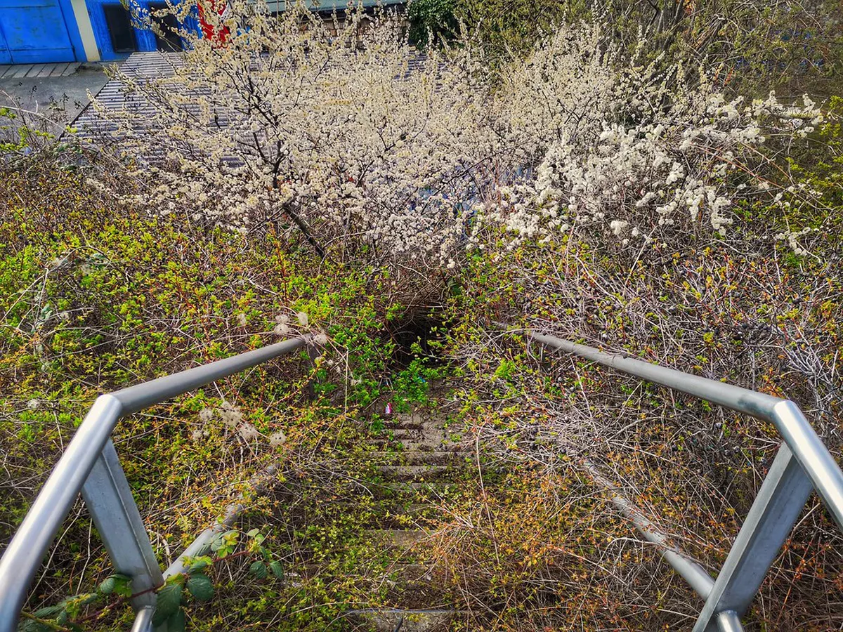 Leipzig Forgotten Historical Sites: Explore Hidden History