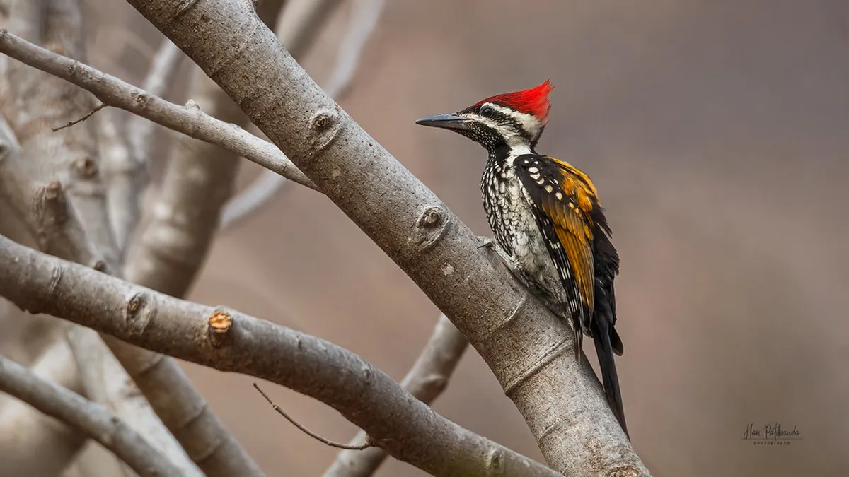 Discover Bari's Lesser Known History: Ancient Secrets Unearthed