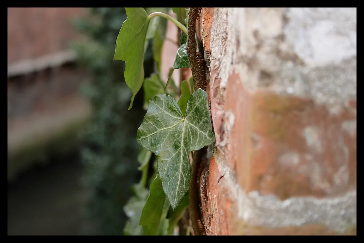 Leuven Local Eateries Guide 2025: Top Restaurants & Cafes