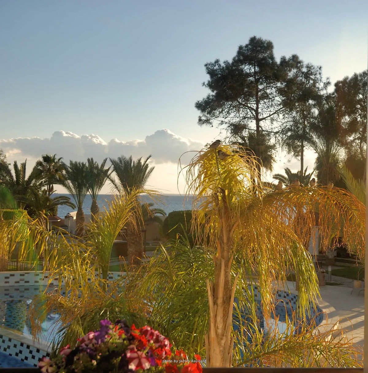 Limassol Alternative Transport Options: Your 2025 Guide