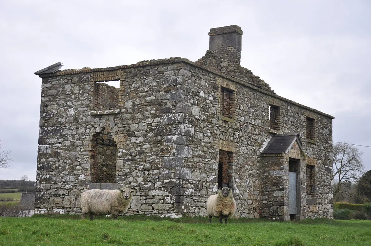 Limerick City Authentic Art: Your 2025 Guide to Creativity