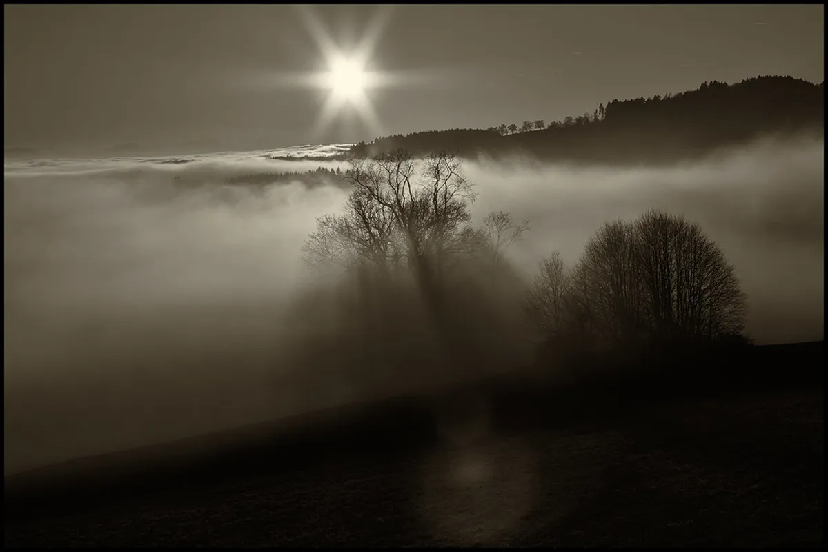 Discover Linz's Hidden Courtyards Tour in 2025