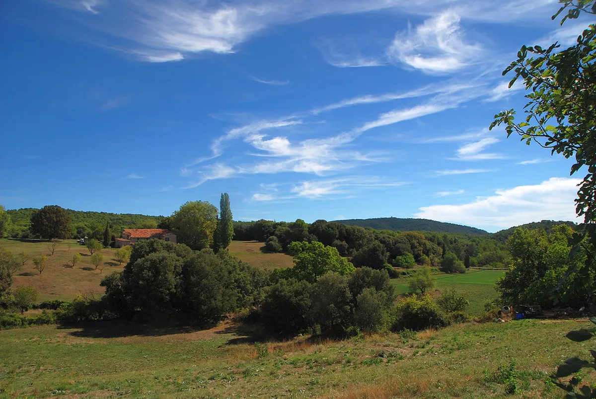 Discover Best Local Avignon Dining Spots for 2025