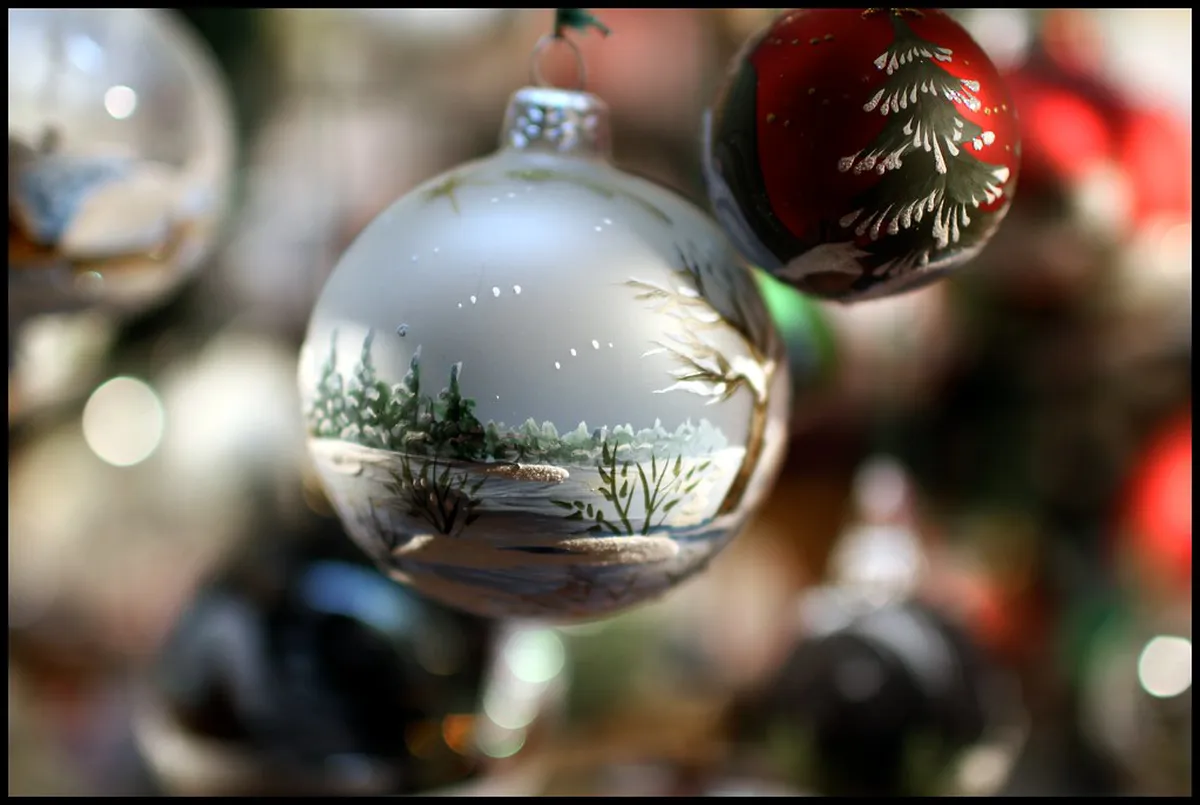 Local Dresden Food Spots: An Authentic Culinary Journey