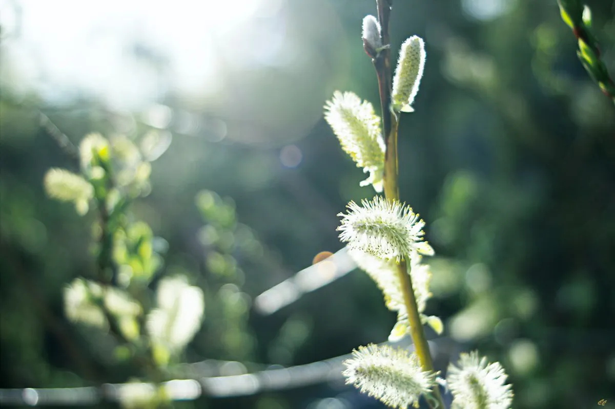 Local Favorite Helsinki Restaurants: Your 2025 Dining Guide