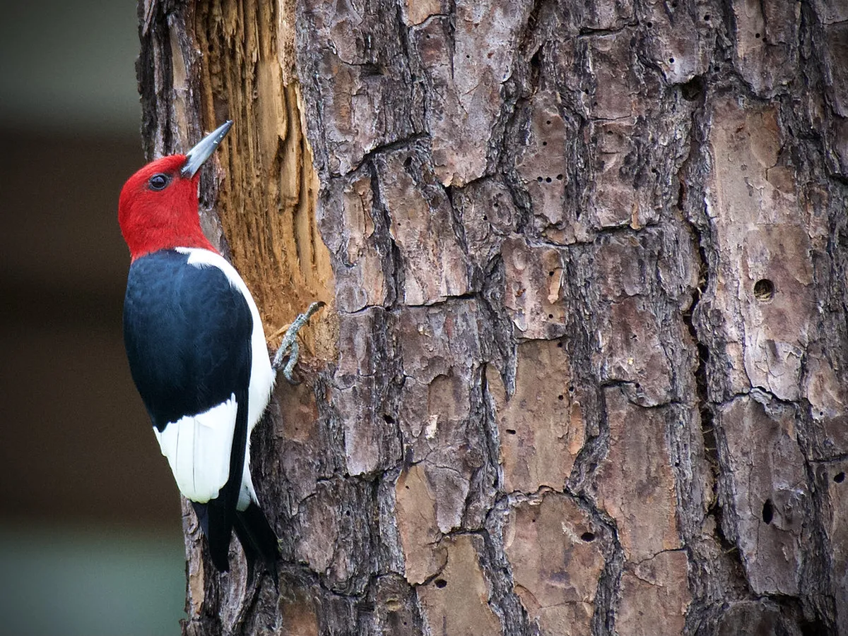 Discover Local Favorite Kaunas Cafes in 2025