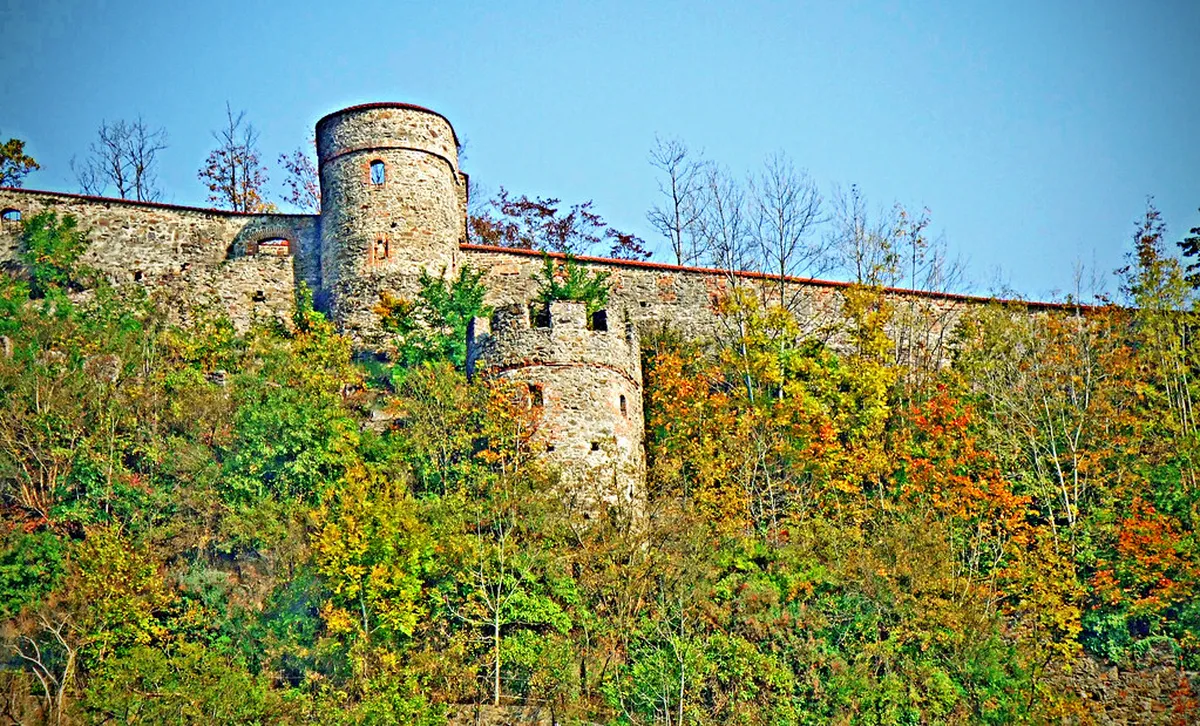 Discover Local Passau Eateries: Your 2025 Food Guide