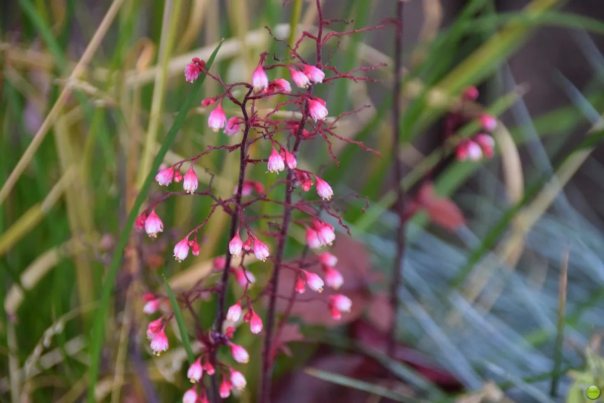 Sopot's Culinary Gems: Discover Local Eateries in 2025