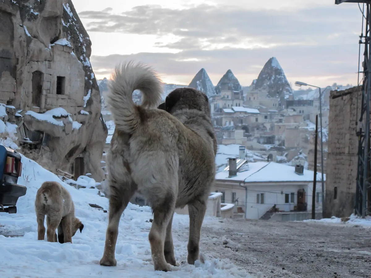 Discover Göreme's Local Favorites: Top Hidden Gems for 2025