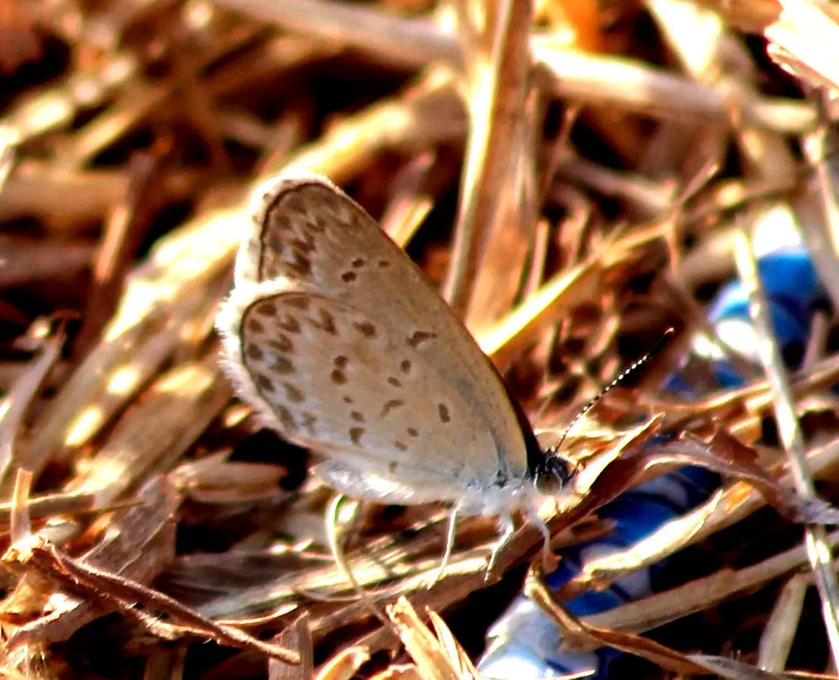 Lucerne Lesser Known Trails: Uncover Hidden Swiss Beauty