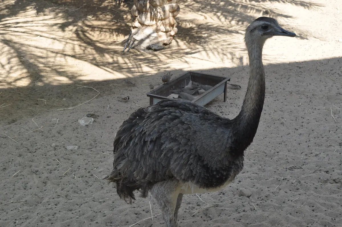 Lübeck's Lesser-Known Restaurants: A 2025 Food Guide