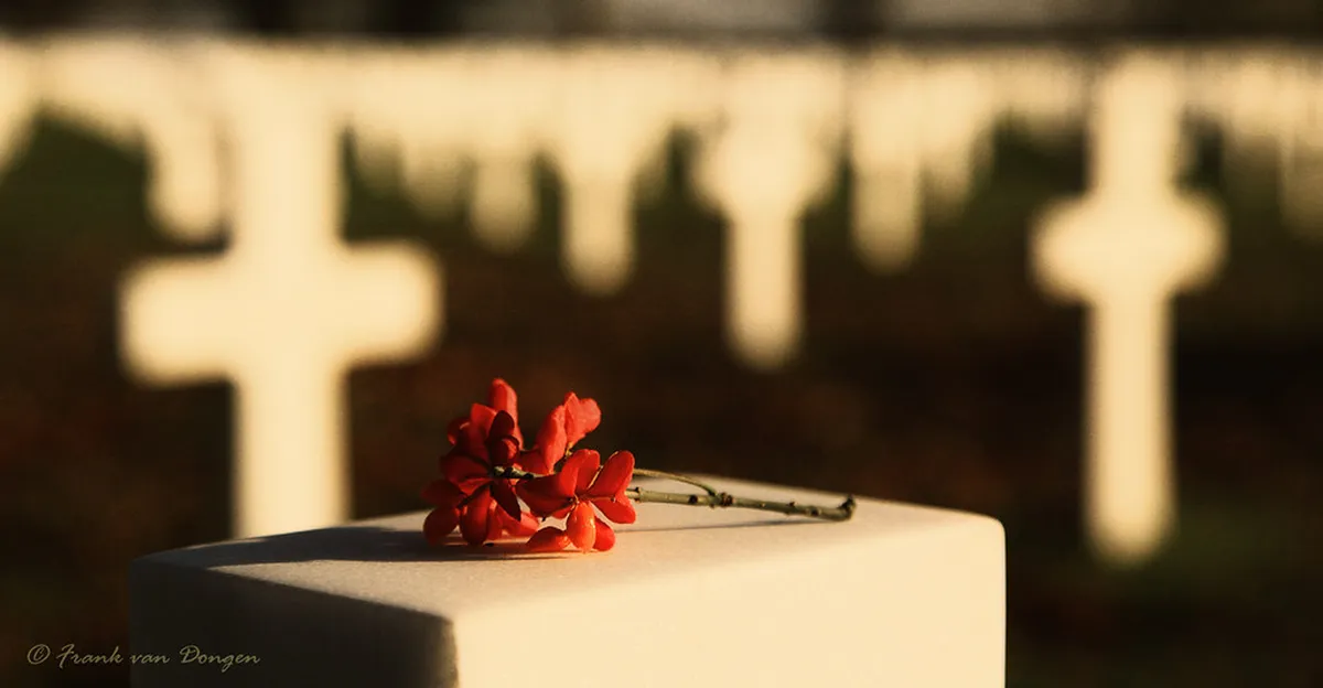 Maastricht's Unknown Cafes & Bars: A Local's 2025 Guide