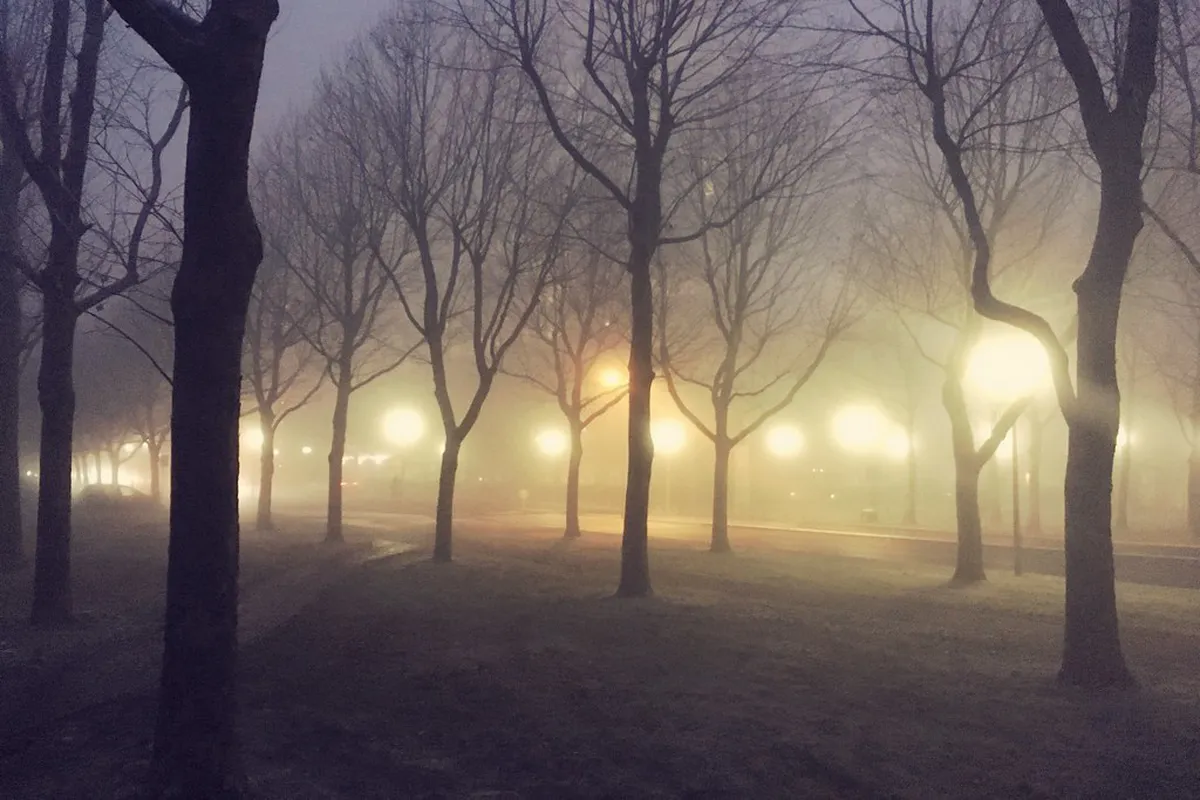 Mainz Free Hidden Spots: Explore Secret Gems in 2025